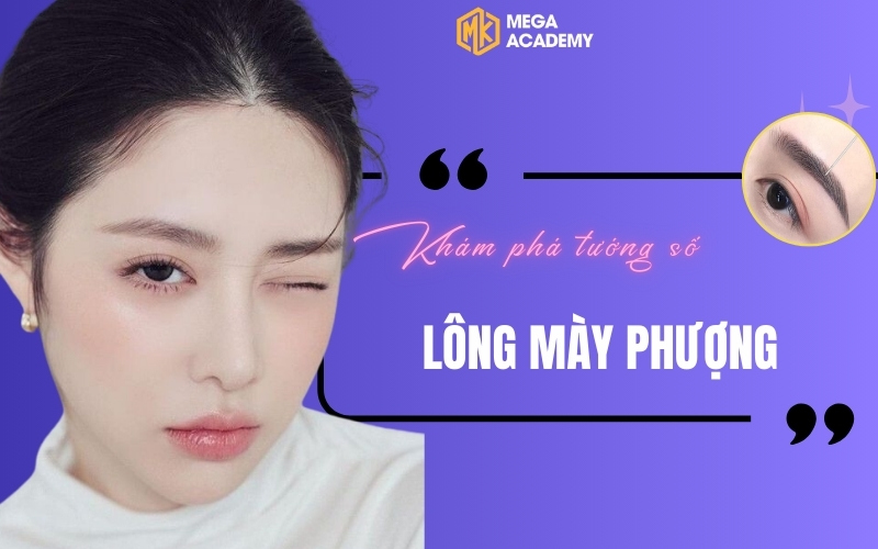 Lông mày phượng hoàng là gì? Phong thủy của người có mày phượng